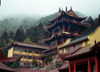 Китайская BSN реализует свои планы