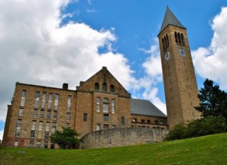 Сеть блокчейнов Avalanche для запуска основной сети