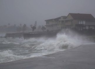 Нефть подорожала более чем на 4% из-за урагана