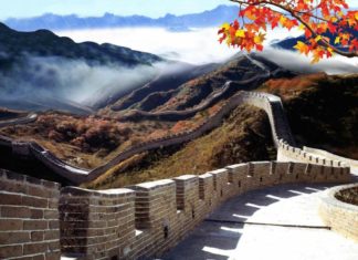 BSN International интегрирует поддержку сети Tezos