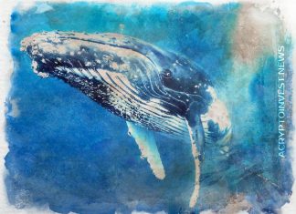 Пользователь XAPO переводит $1.1 млрд, в биткойнах