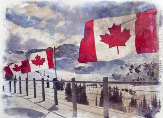 Криптобиржа Coinsquare объявляет о смене руководства