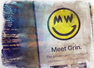 Сеть Grin поражена атакой 51%, токен GRIN устойчив