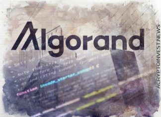 Стартап на миллион долларов использует Algorand