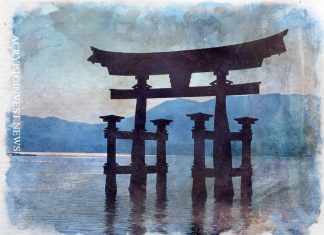 На Азию приходится половина торговли криптовалютами