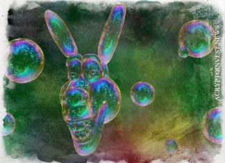 Биткойн и акции техкомпаний — крупнейшие пузыри на рынке