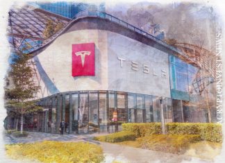 Tesla нашла ошибку в платежном процессоре BTCPay