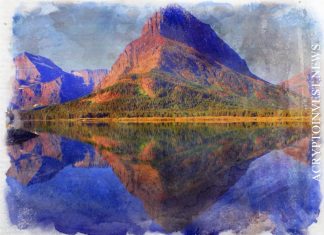 Регулятор Монтаны, приказывает Forsage закрыться