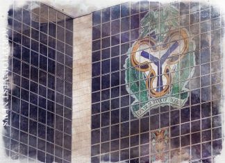 Банк Нигерии за использование отправителей с лицензиями