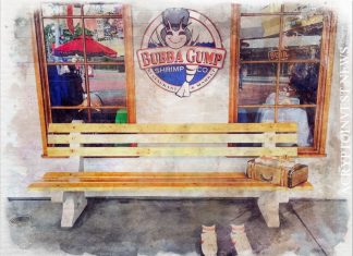 Рестораны Bubba Gump Shrimp начнут принимать биткоины