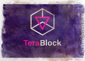 TeraBlock собирает $2,4 млн на разработку интерфейса