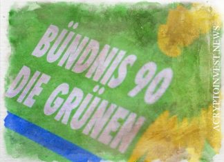 Разработчик ПО пожертвовал $1,2 млн партии «Зеленых»