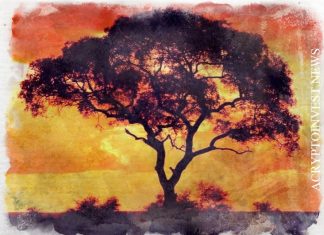 WisdomTree разместит биткойн-ETP на Deutsche Boerse