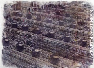 ePIC привлекает $ 7,5 млн для производства ASIC в C.Америке