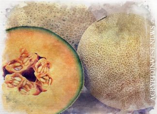 Bakkt позволит тратить крипту в розничной сети Cantaloupe