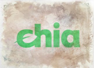 Блокчейн-платформа Chia привлекла 61 млн долларов