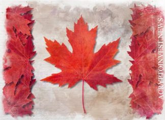 Icebreaker и Maple запускают фонд на $300 млн Icebreaker и Maple