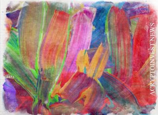 Ash Egan запускает венчурный фонд в размере $55 млн