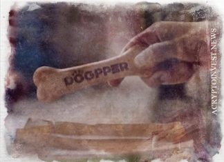 Burger King Brazil примет DOGE за корм для собак Dogpper