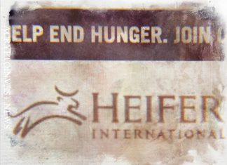 IBM и Heifer International помогут фермерам Гондураса
