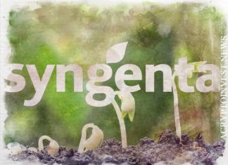 Шанхайское IPO Syngenta планирует привлечь $10 млрд