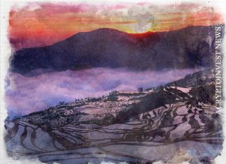 Компании Юньнани совершили переводы на $508 млн