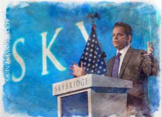 SkyBridge Capital запускает платформу NFT