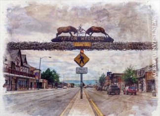 DAO из Вайоминга подает форму S-1 в SEC