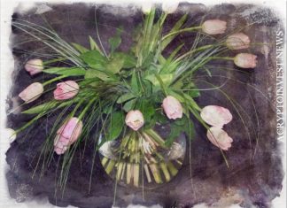 Агрегатор доходности Tulip Protocol привлекает $5 млн