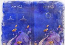 Кошелек XDEFI рассчитывает привлечь $ 12 млн