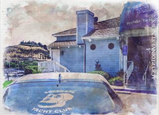 Яхт-клуб Bored Ape планирует запустить свой токен