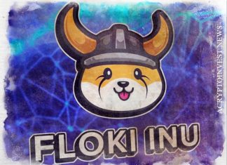 Логотип Floki появится на футболке и стадионе SSC Napoli