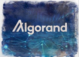 Borderless Capital запускает фонд в $500 млн для Algorand