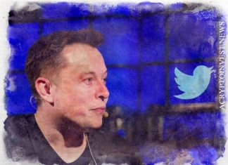 Илон Маск критикует интеграцию Twitter с NFT