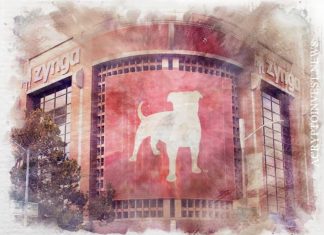 Zynga планирует запустить игру на основе NFT в этом году