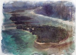 Маршалловы Острова официально признают DAO