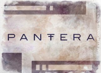 Pantera Capital инвестирует $10 млн в стартап NFT Rarify