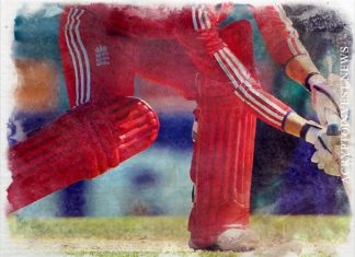 Крикетная платформа NFT Rario привлекает $120 млн