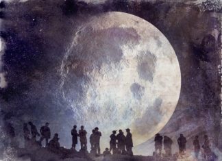 Полиция Ю.Кореи требует заморозить активы LFG Luna Foundation Guard