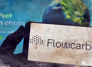 Flowcarbon откладывает выпуск токенов Flowcarbon