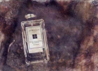 NFT подписка на ароматы от Scents Of Wood Scents Of Wood