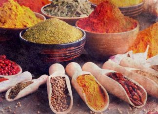 Платформа Web3, Spice AI, привлекла $13,5 млн