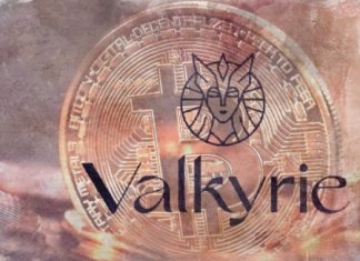 Два крипто-траста Valkyrie привлекли $73,6 млн Valkyrie
