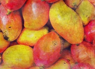 Mango Markets заплатит хакеру $47 миллионов Mango Markets