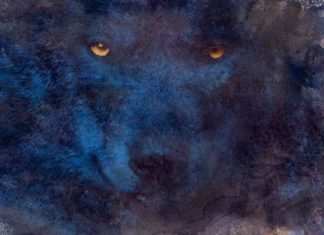 Майнер TeraWulf привлекает 17 млн долларов TeraWulf