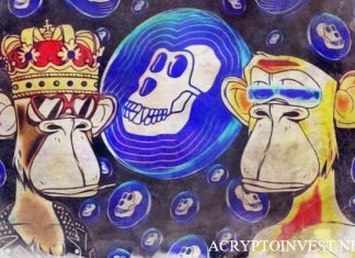 Binance ограничивает стейкинг Bored Ape Bored Ape