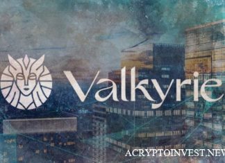 Valkyrie хочет «управлять и спонсировать» GBTC Grayscale Valkyrie