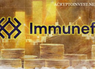 Immunefi спасает $200 млн от кражи на парачейнах Polkadot Polkadot