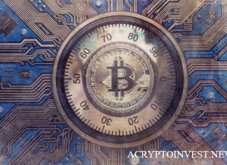 Fractal привлекает 6 млн для изменения структуры рынка Fractal