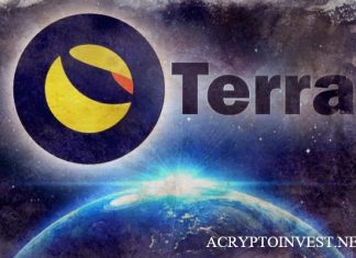 Соучредитель Terra официально обвинен в Южной Кореей Terraform Labs